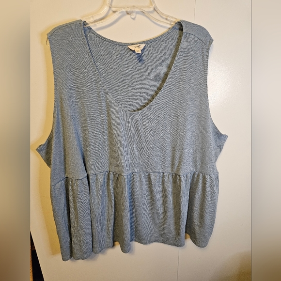 Terra & Sky Tops - Terra & Sky babydoll top 4X